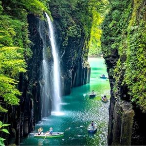 Items here are in great condition (either never been used or very gently used).